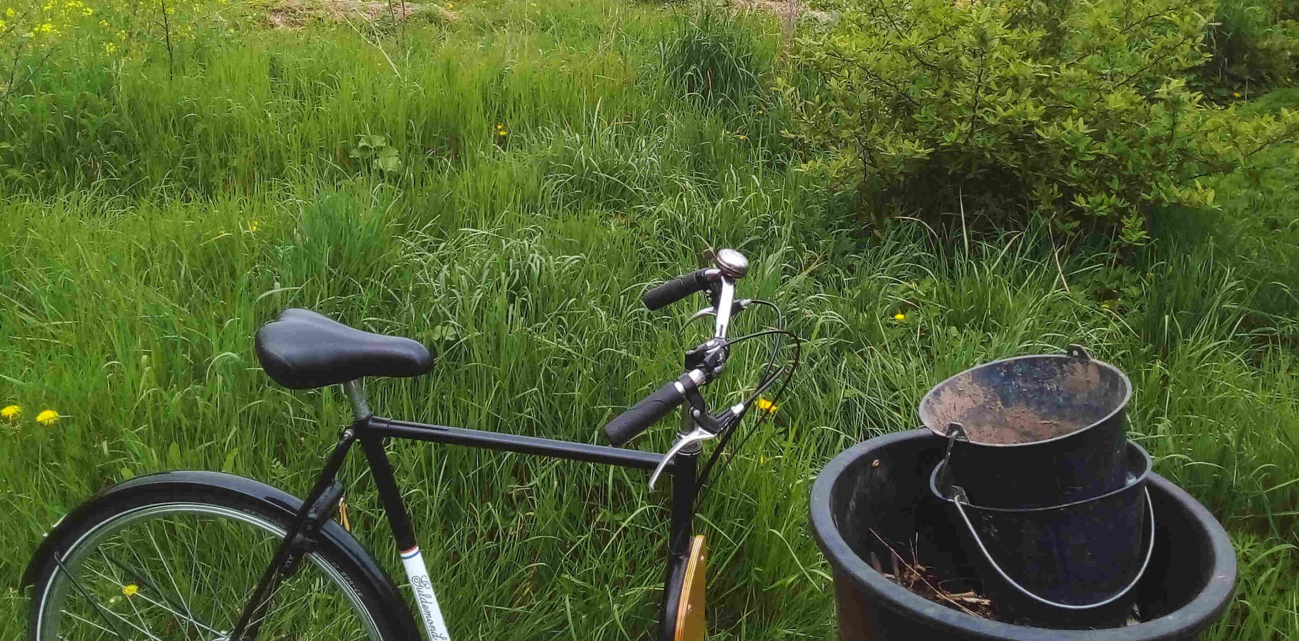 laissez-moi vous présenter