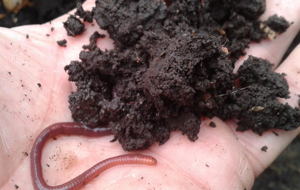 composter pourquoi ?